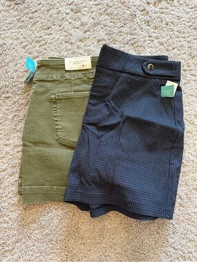 Olive Green A-Line Shorts & Navy Textured Short Duo